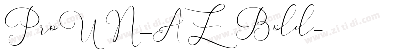 ProUN_AZ Bold字体转换